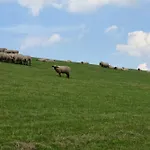 Watt'n Blick - Hundefreundliches Mit Ausblick Ueber Wiesen Bis Zum Deich Schweiburg