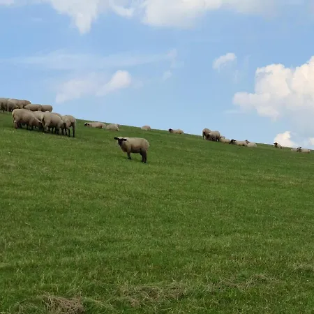 Dom wakacyjny Watt'n Blick - Hundefreundliches Mit Ausblick Ueber Wiesen Bis Zum Deich *