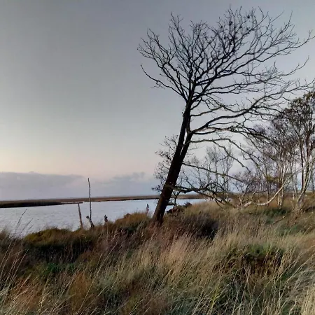Watt'n Blick - Hundefreundliches Mit Ausblick Ueber Wiesen Bis Zum Deich * Schweiburg