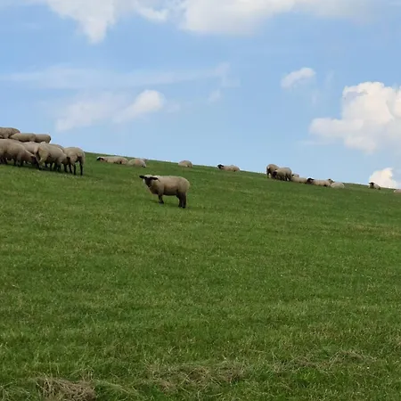 Watt'n Blick - Hundefreundliches Mit Ausblick Ueber Wiesen Bis Zum Deich Schweiburg