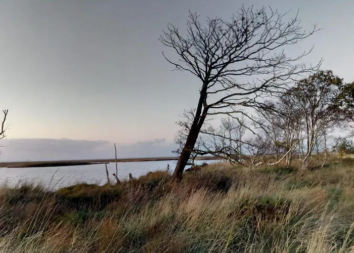 Watt´n Blick - Hundefreundliches Mit Ausblick über Wiesen Bis Zum Deich Ferienhaus Schweiburg