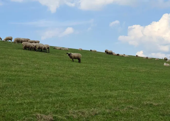 Watt´n Blick - Hundefreundliches Mit Ausblick über Wiesen Bis Zum Deich Schweiburg